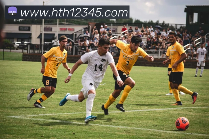 华体会平台生态图